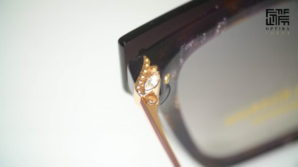 Ana Hickmann AH6565GT G23