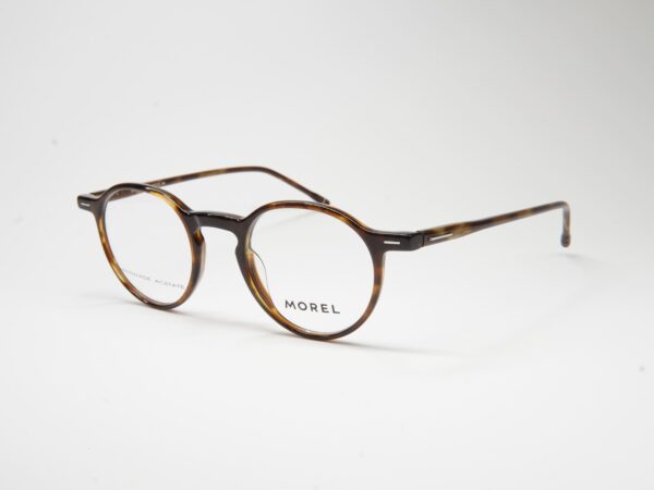 Morel Leavitt 1 VG03